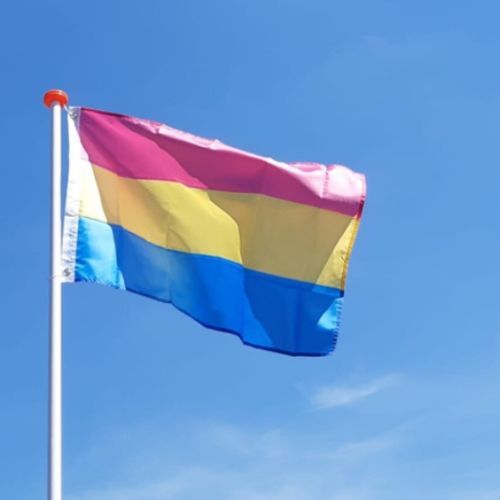 panseksuele vlag